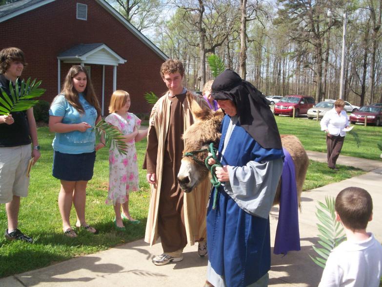 Palm Sunday 09, Donkey